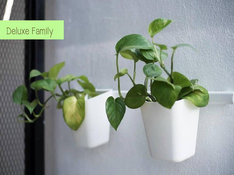 The Leaf Chiangmai Service Apartment Chiang Mai Extérieur photo